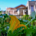 酒店 普希尔酒店