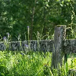 普希尔酒店 酒店 3*