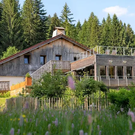 Hotel De La Poulciere Gerardmer