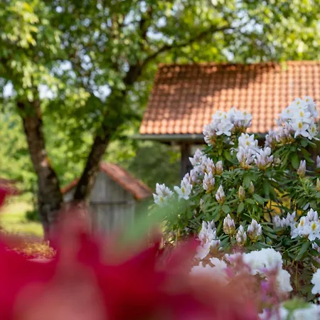 De La Poulciere Hotel Gérardmer