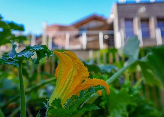 Hotel De La Poulciere