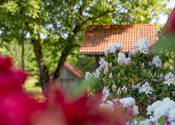 De La Poulciere Hotel Gérardmer