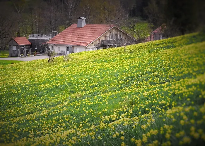 De La Poulciere 3* Gérardmer